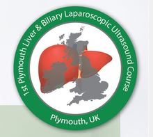 Laparoscopic Hands-On Intraoperative Ultrasound Course