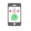 Thumbnail for IHPBA Early Career Group WhatsApp Community is Launching